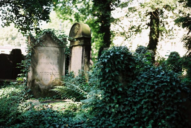 brectan_na_cintorine