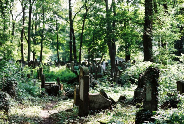 krakovsky_zidovsky_cintorin