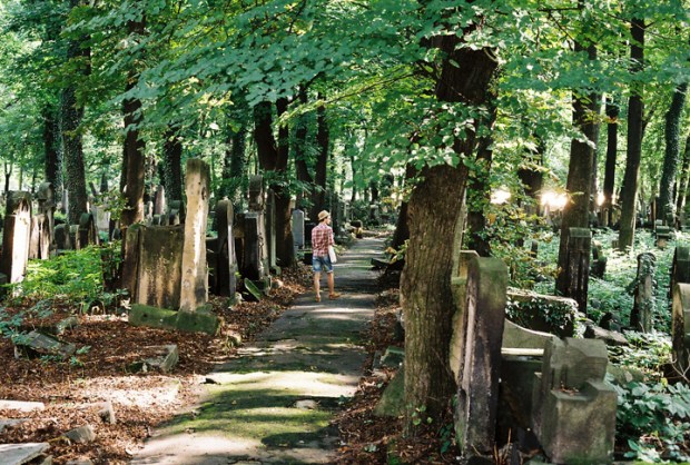 zidovsky_cintorin_krakov