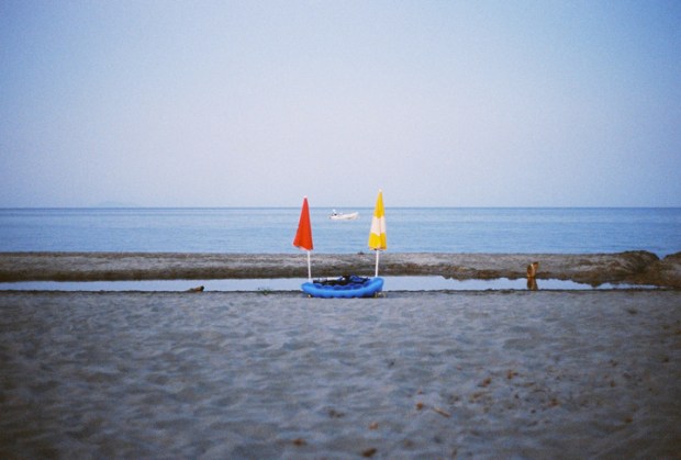 sklopene_slnecniky_a_pltka