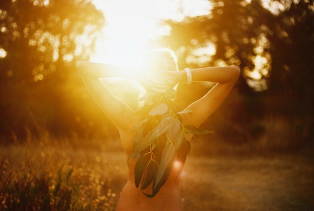 eukalyptus_slnko_vsetko