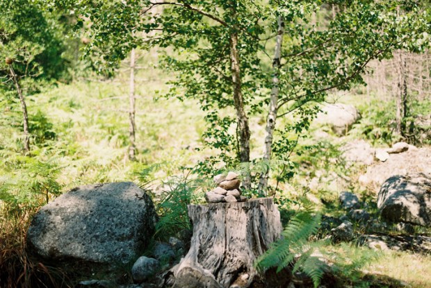 kamene_na_ceste_v_lese