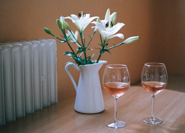 biele_lalie_ruzove_vino