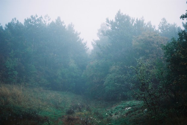 autumn_fog
