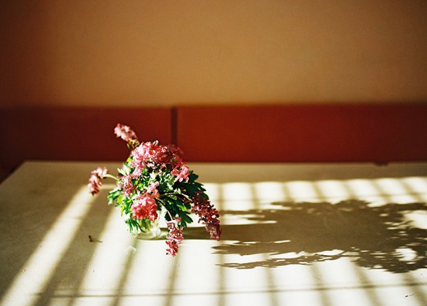 fialove-kvety-v-kuchyni