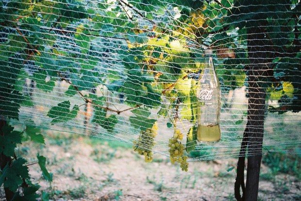 stara-coca-cola-flasa