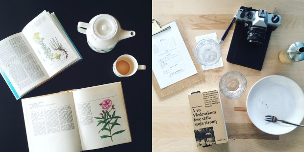 Processed with VSCO with f2 preset