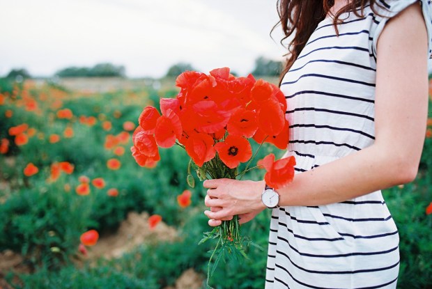 kytica-vlcich-makov-2