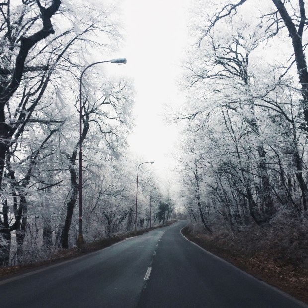 photo-23-12-16-13-06-43