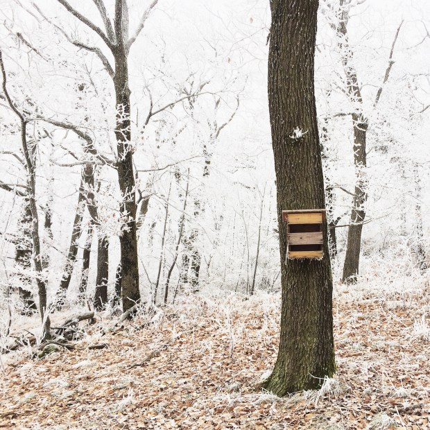 photo-23-12-16-13-29-05