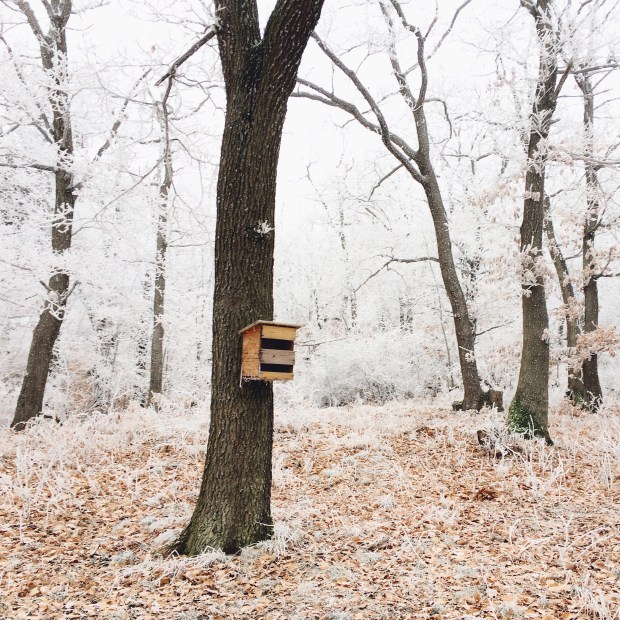 photo-23-12-16-13-29-26