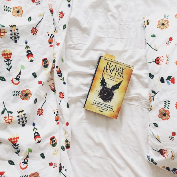 photo-3-10-16-8-03-44