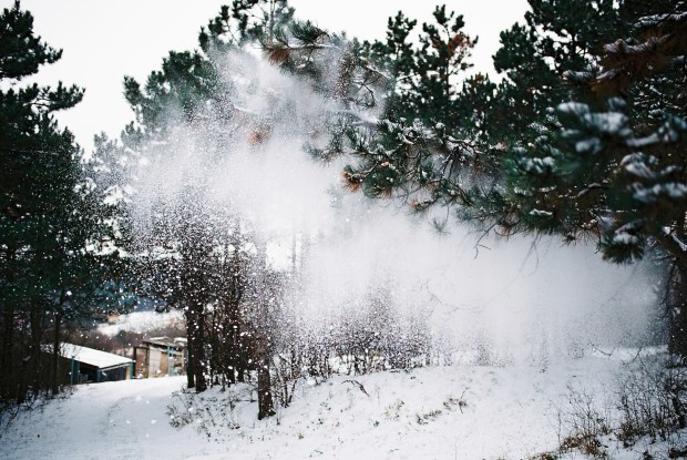 15741849933_93bf0e147d_o