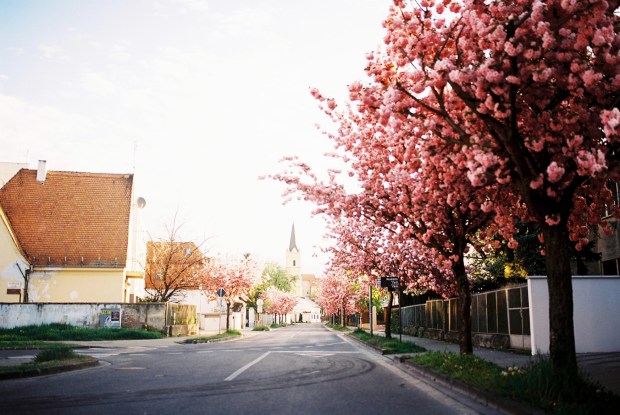 kostol-frana-mojtu-jar