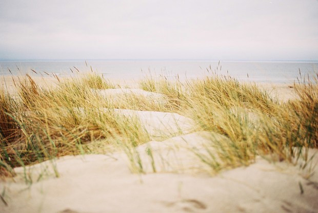 20-grass-beach-hel