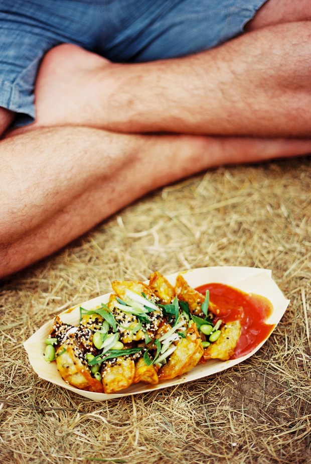 gyoza-foodstock