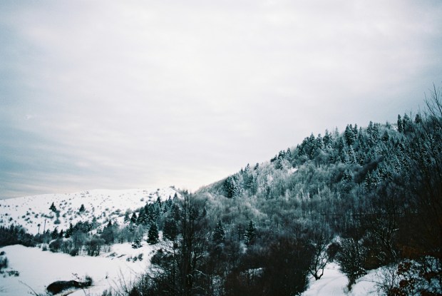 zasnezeny-les-stiavnica