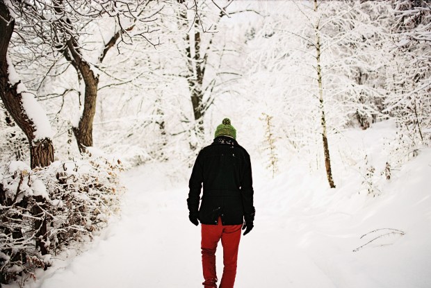 zimna-prechazdka-v-lese-stiavnicke-vrchy